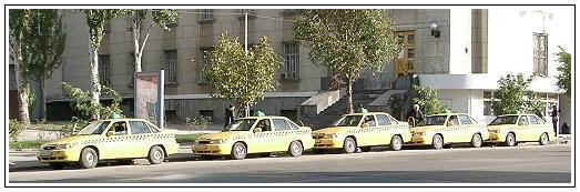 taxi.jpg (27594 bytes)